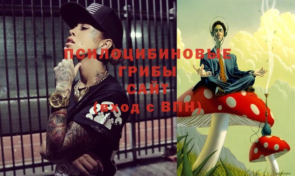 ешки Володарск