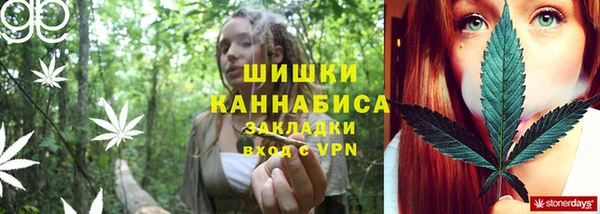 шишки Алексин
