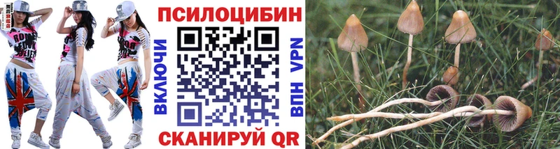 Псилоцибиновые грибы GOLDEN TEACHER Динская